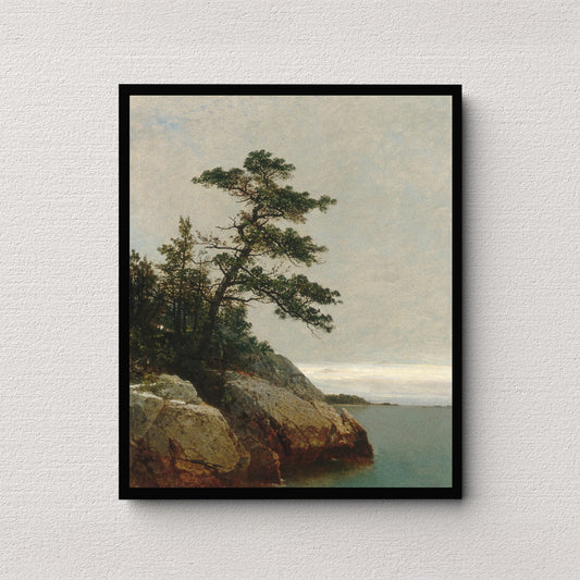 The Old Pine (1872) | John Frederick Kensett